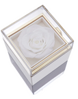 Eternal Rose Box and Engraved Necklace - Valentine's Day Gift for Her