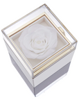 Eternal Rose Box and Engraved Necklace - Valentine's Day Gift for Her