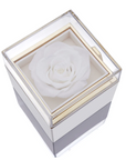 Eternal Rose Box and Engraved Necklace - Valentine's Day Gift for Her