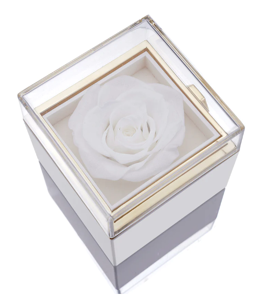 Eternal Rose Box and Engraved Necklace - Valentine&#39;s Day Gift for Her