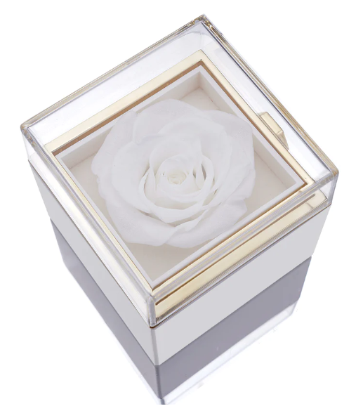 Eternal Rose Box and Engraved Necklace - Valentine&#39;s Day Gift for Her