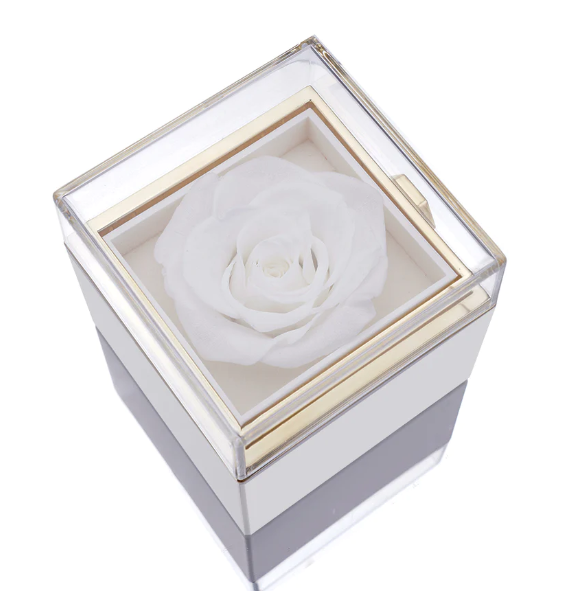 Eternal Rose Box and Engraved Necklace - Valentine&#39;s Day Gift for Her