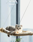 Bearing Hanging Cat Bed